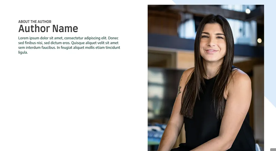 Authorship theme highlight section screenshot