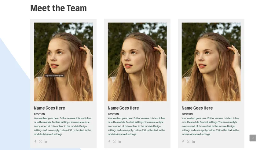 Authorship theme people section screenshot