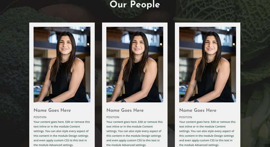 Fresh & Crisp theme people section screenshot